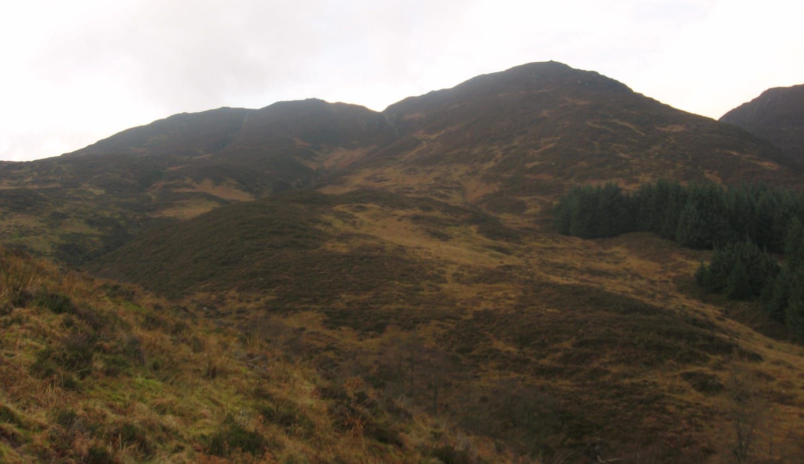 Bulky Form Walks & Outdoors Around Loch Tay | Loch Tay Explorer