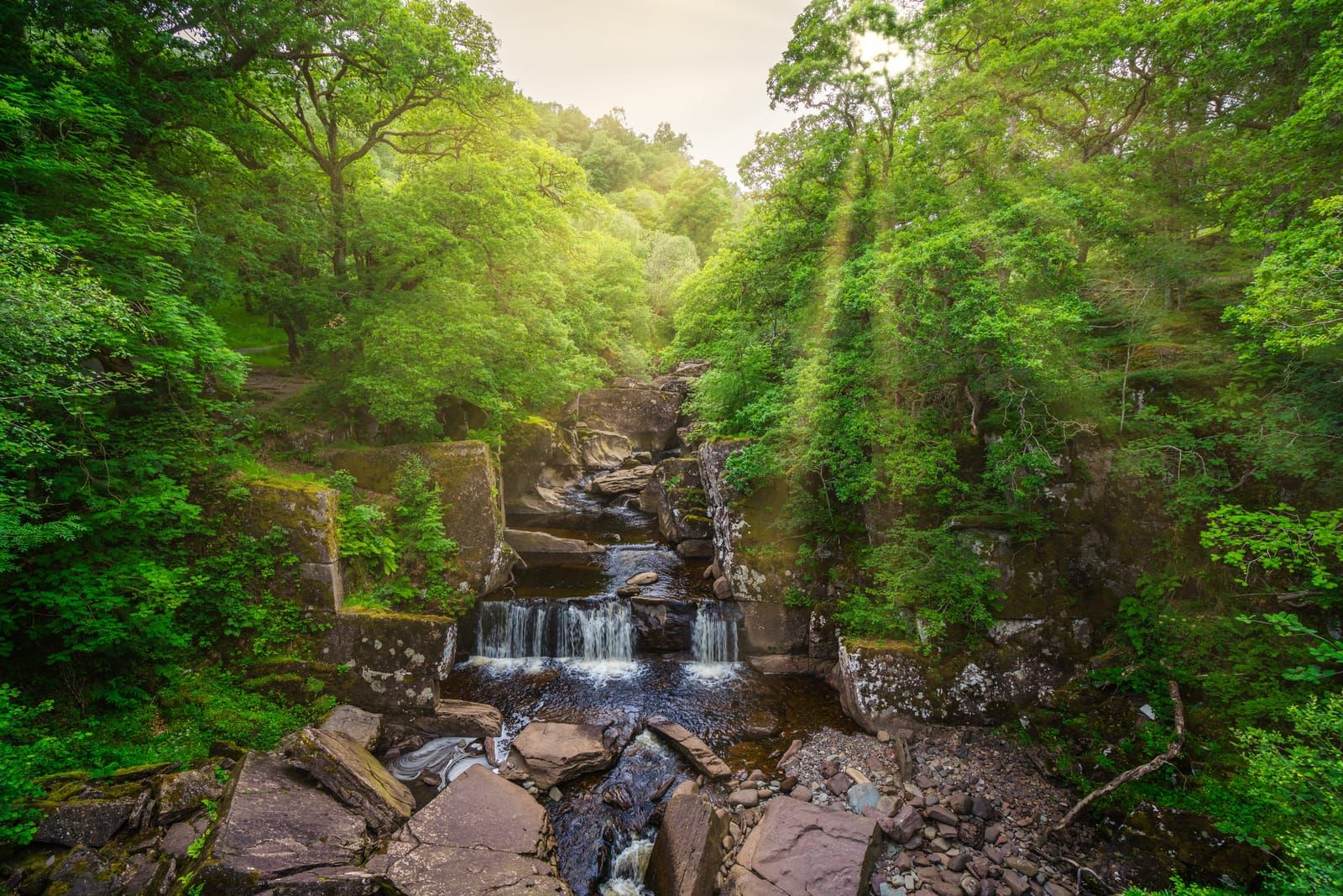 Callander